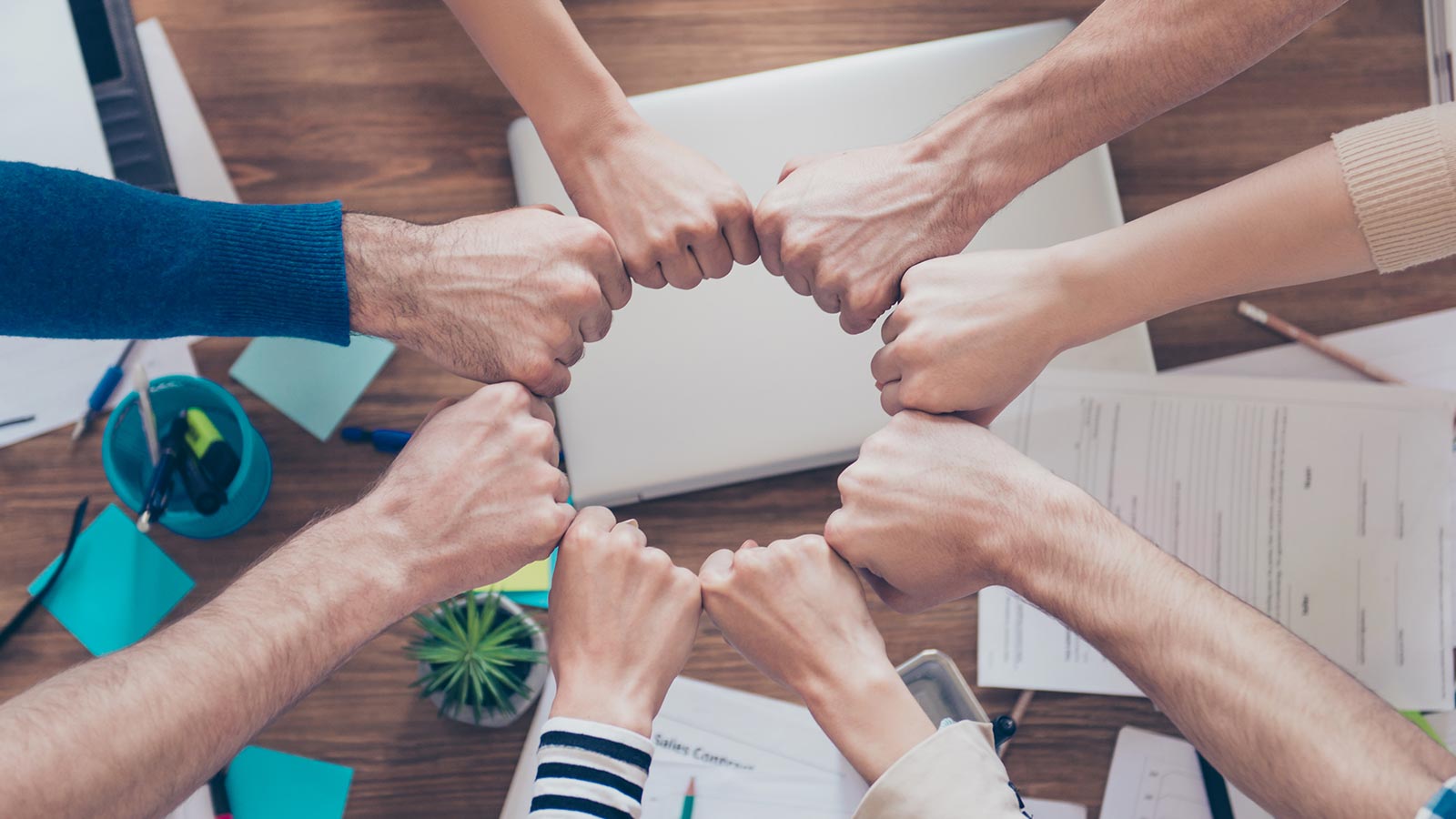 Información para los consumidores honesta